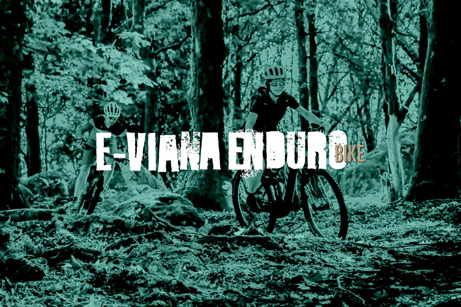 Viana Enduro eBike / Web Design